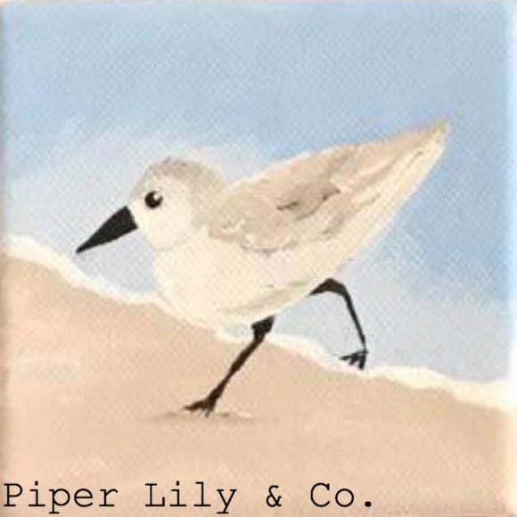 Meet your Posher, Piper - Picture 1 of 1
